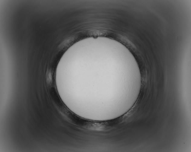 X0000083070166200703022205