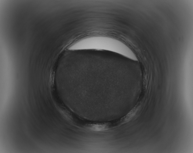 X0000083070168200703022205