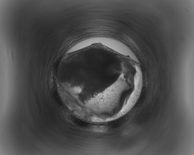 X0000083070169200703022205