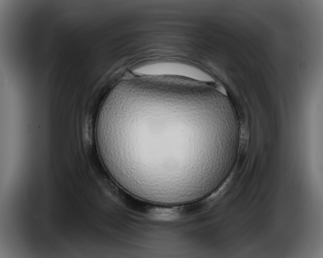 X0000083070170200703022205