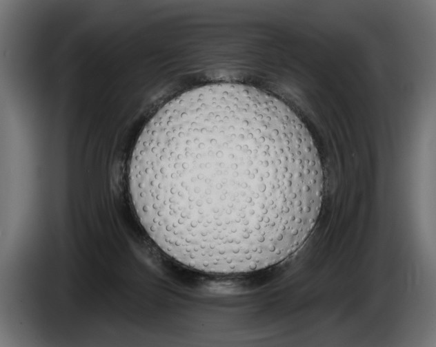 X0000083070171200703022205