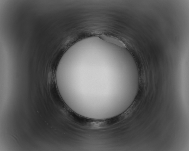 X0000083070172200703022205