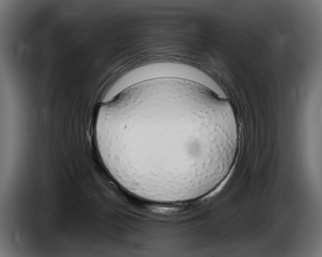 X0000083070174200703022205