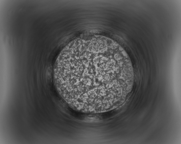 X0000083070175200703022205