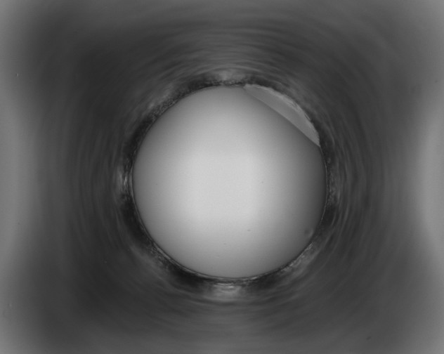 X0000083070176200703022205