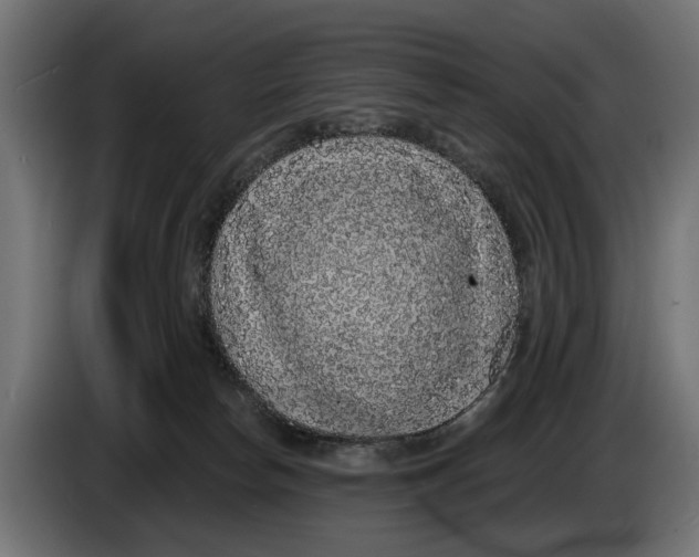 X0000083070178200703022205