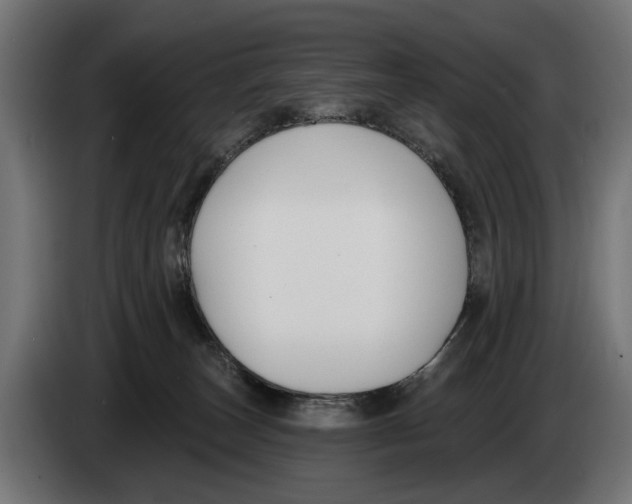 X0000083070179200703022205