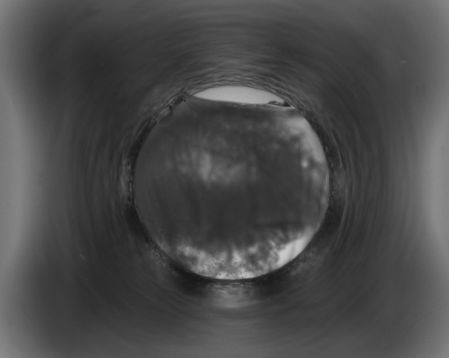 X0000083070181200703022205