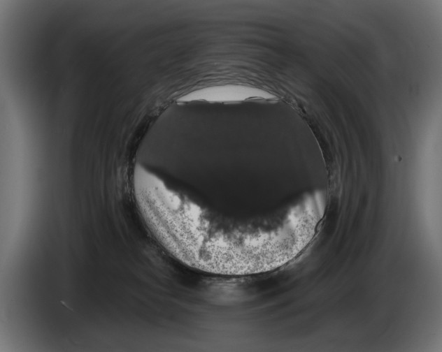 X0000083070182200703022205