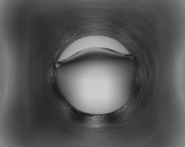 X0000083070184200703022205