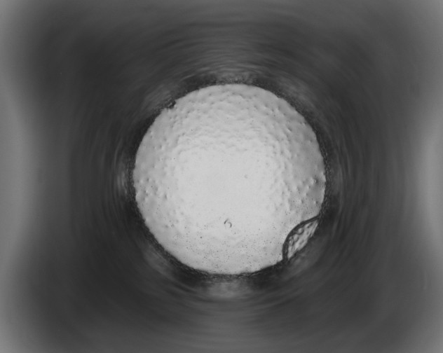 X0000083070185200703022205