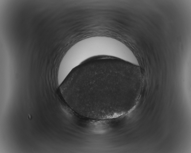 X0000083070186200703022205