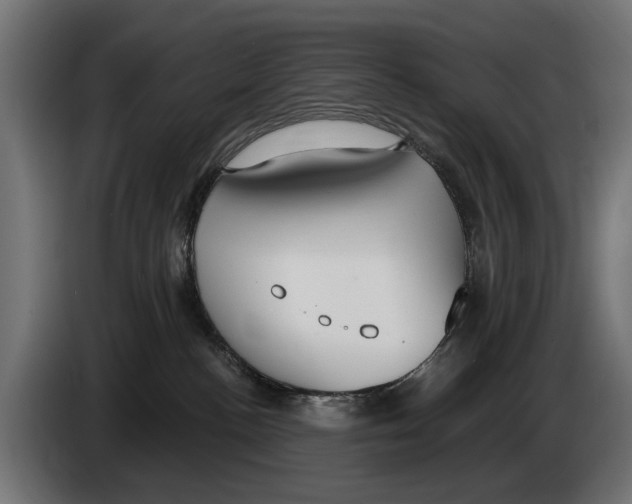 X0000083070188200703022205