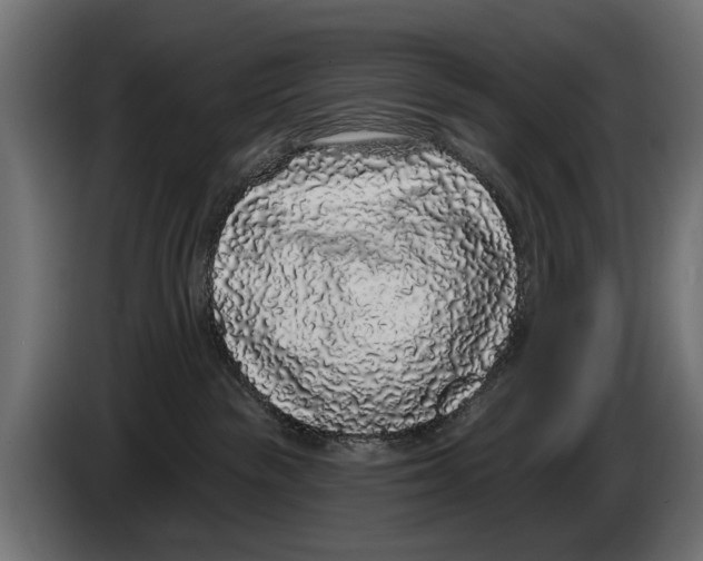 X0000083070189200703022205