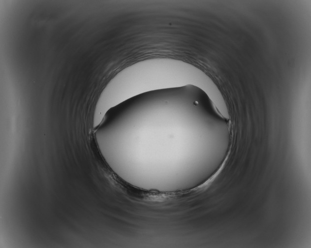 X0000083070190200703022205