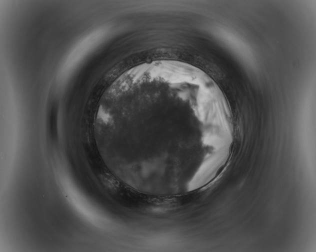 X0000083070191200703022205