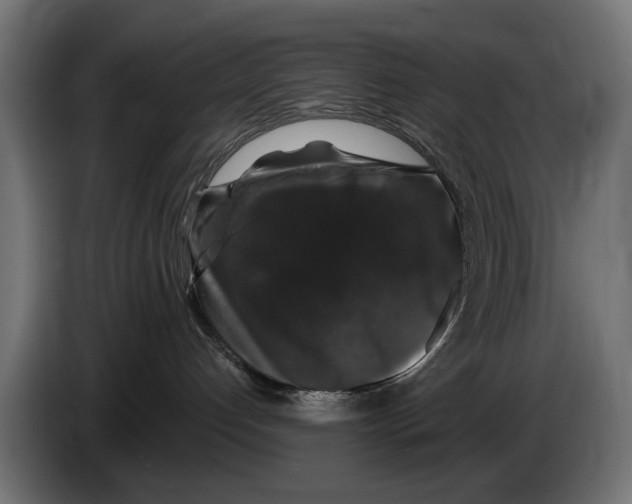 X0000083070192200703022205