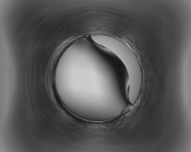 X0000083070193200703022205