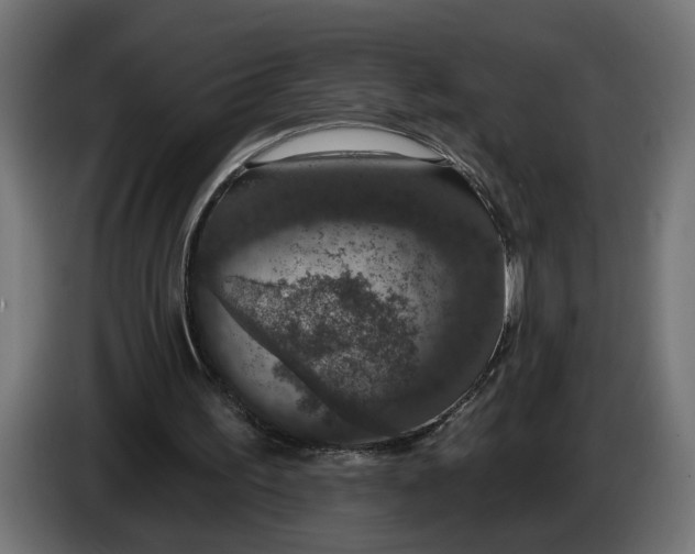 X0000083070195200703022205