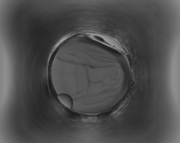 X0000083070196200703022205