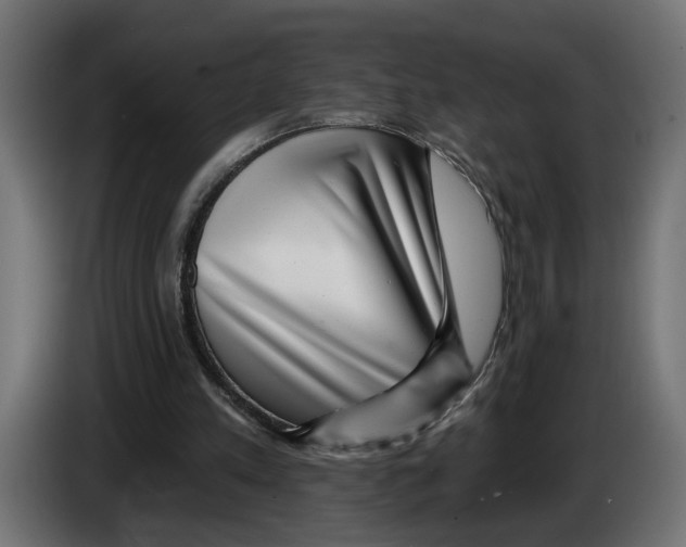 X0000083070197200703022205