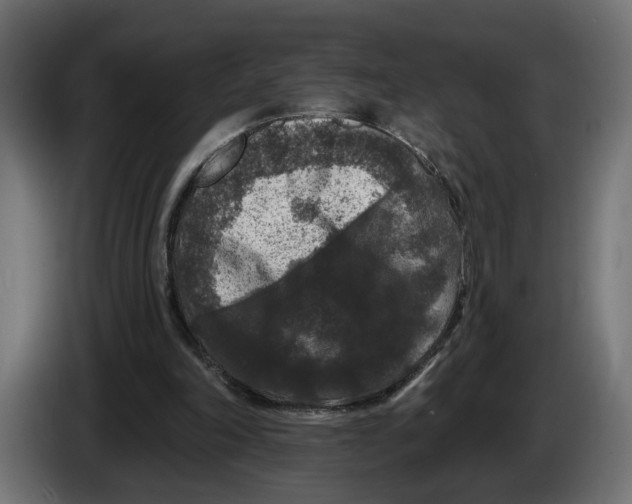 X0000083070198200703022205