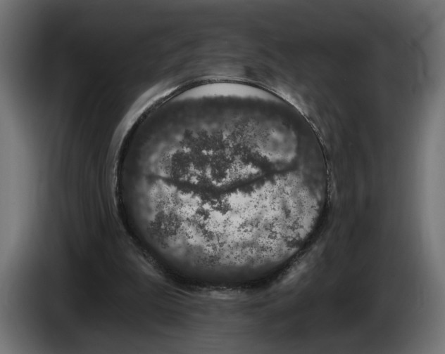 X0000083070199200703022205