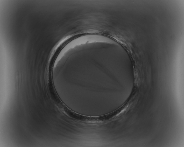 X0000083070200200703022205