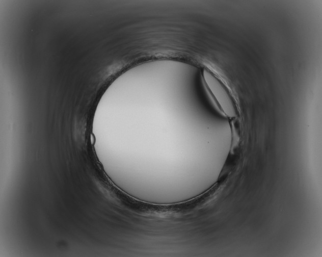 X0000083070201200703022205