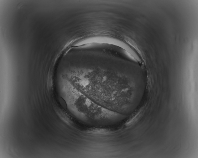 X0000083070203200703022205