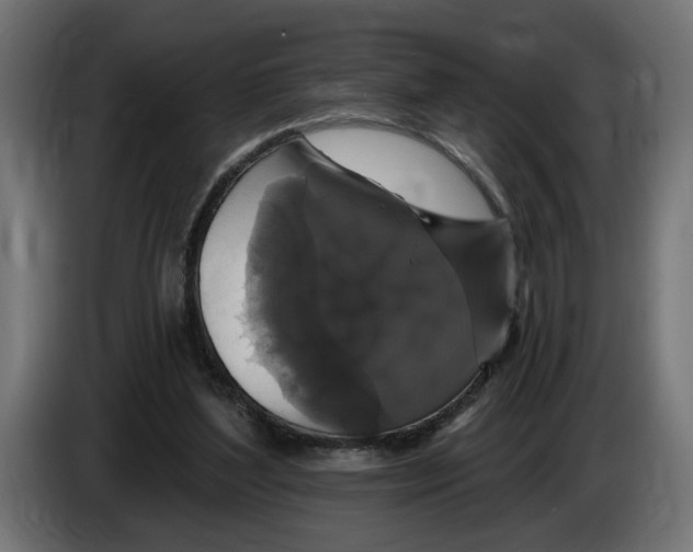 X0000083070204200703022204