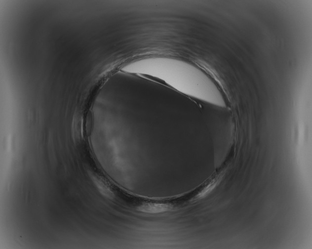 X0000083070205200703022204