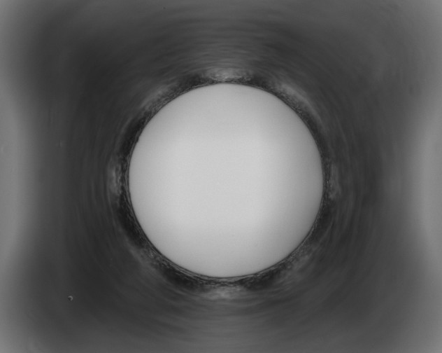 X0000083070210200703022204