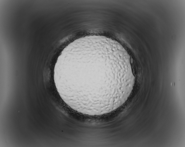 X0000083070211200703022204