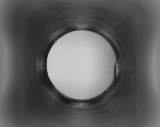 X0000083070212200703022204