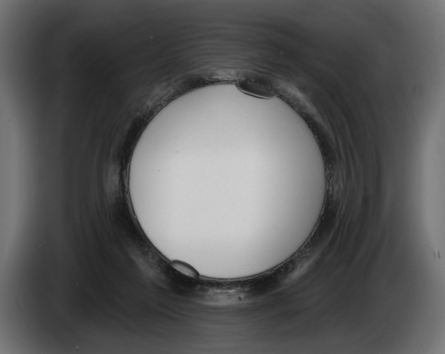 X0000083070213200703022204