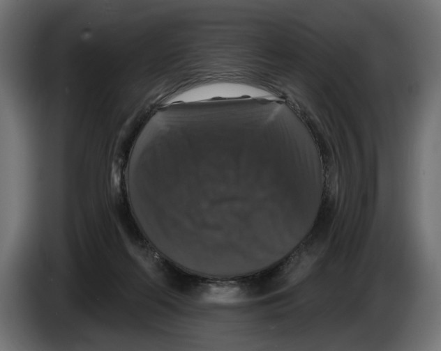 X0000083070214200703022204