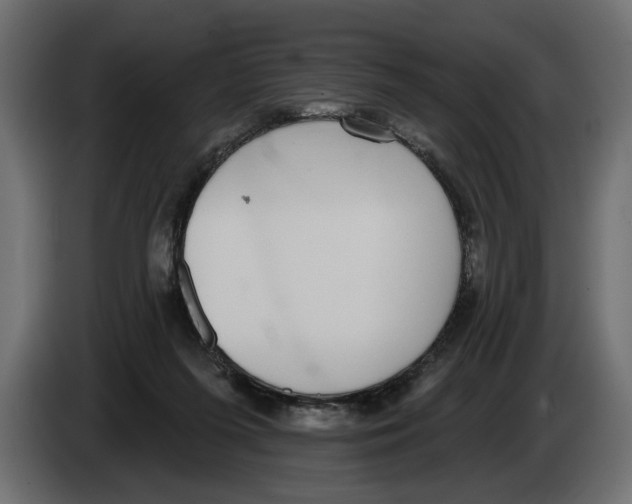 X0000083070215200703022204