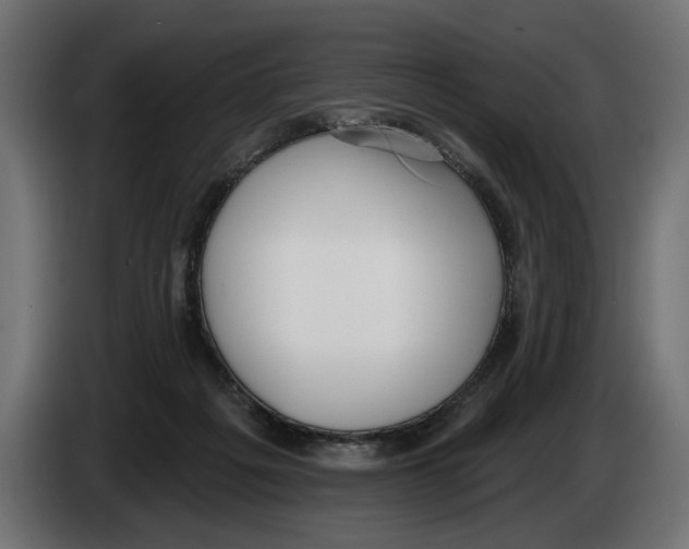 X0000083070217200703022204