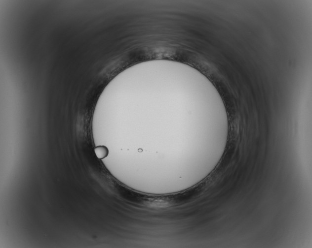 X0000083070218200703022204