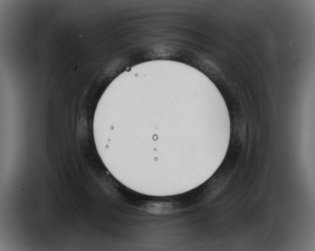 X0000083070220200703022204