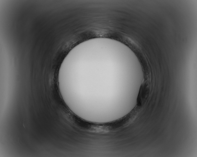 X0000083070221200703022204