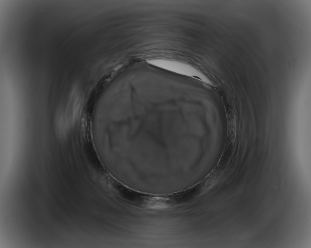 X0000083070222200703022204