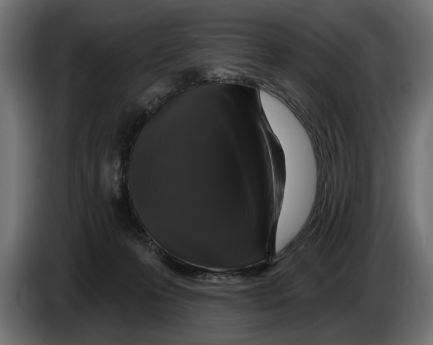 X0000083070223200703022204