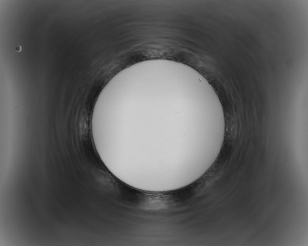 X0000083070226200703022204