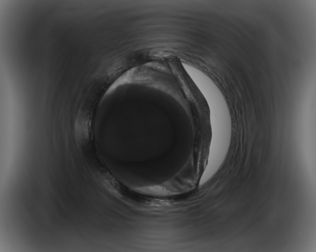 X0000083070227200703022204