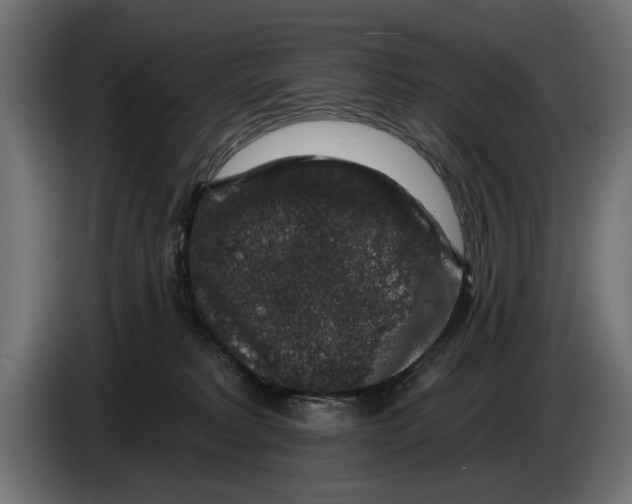 X0000083070229200703022204