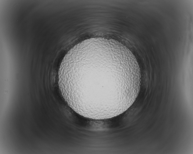 X0000083070230200703022204