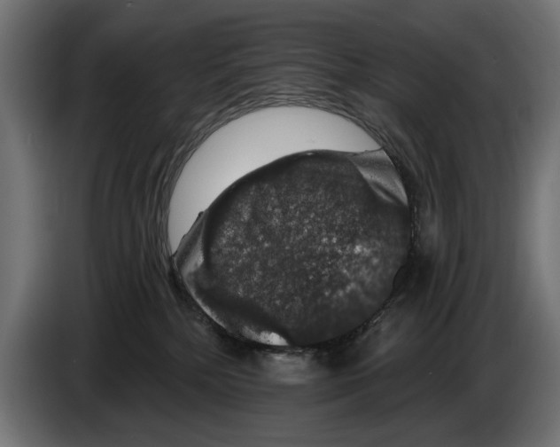 X0000083070232200703022204