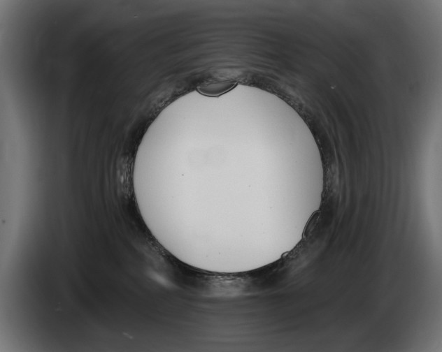 X0000083070234200703022204